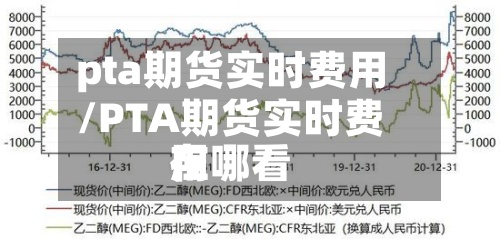 pta期货实时费用/PTA期货实时费用在哪看