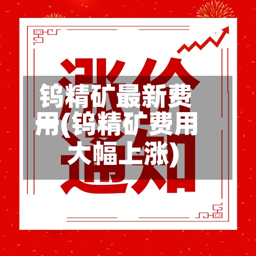 钨精矿最新费用一(钨精矿费用大幅上涨)-第2张图片