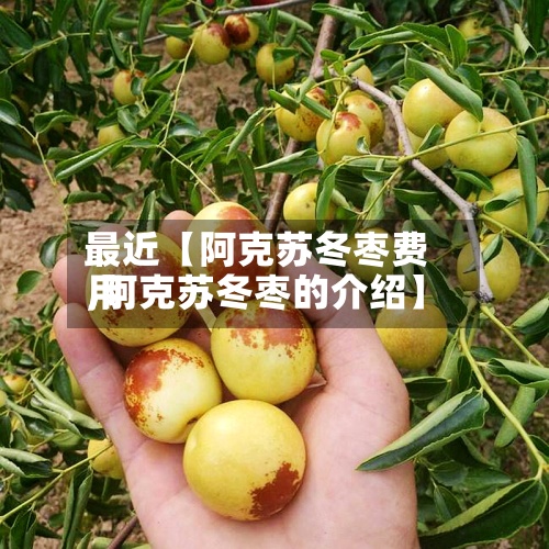 最近【阿克苏冬枣费用,阿克苏冬枣的介绍】