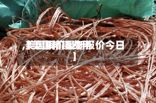 【美国精铜费用,美国铜价最新报价今日】-第2张图片