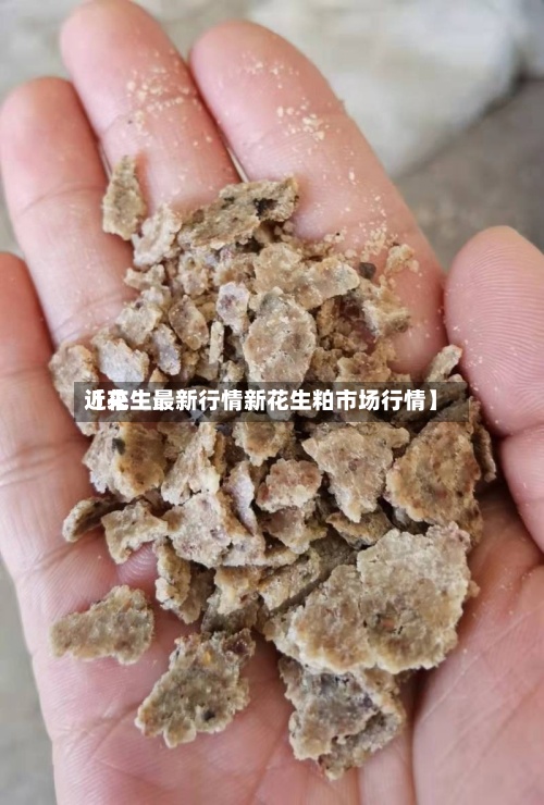 近来【花生最新行情新花生粕市场行情】-第3张图片