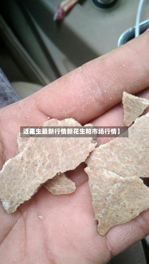 近来【花生最新行情新花生粕市场行情】-第2张图片