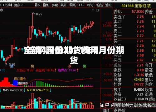宝钢4月份期货费用/宝钢股份2021年6月份期货