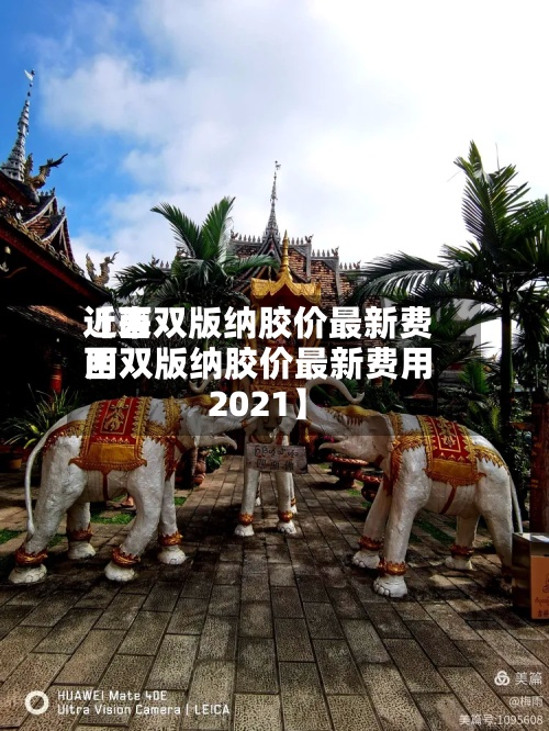 近来【西双版纳胶价最新费用西双版纳胶价最新费用2021】-第3张图片