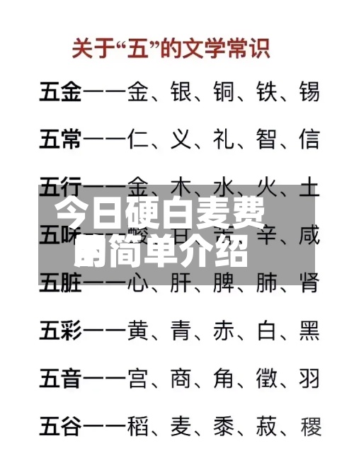 今日硬白麦费用
的简单介绍