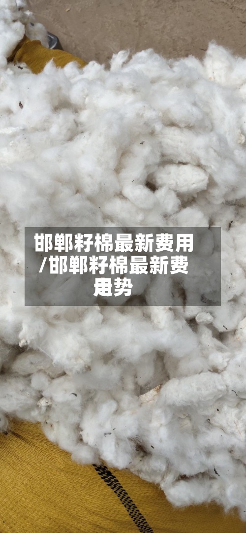 邯郸籽棉最新费用
/邯郸籽棉最新费用
走势