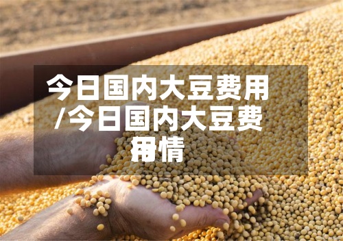 今日国内大豆费用/今日国内大豆费用行情-第3张图片