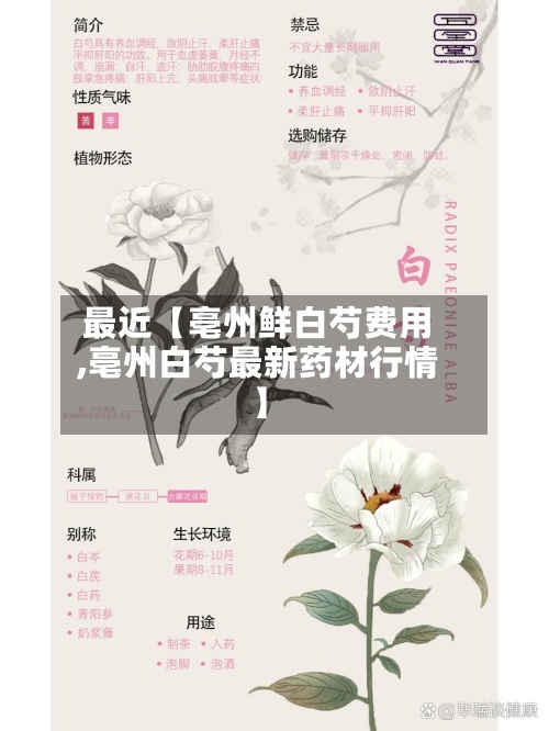 最近【亳州鲜白芍费用
,亳州白芍最新药材行情】