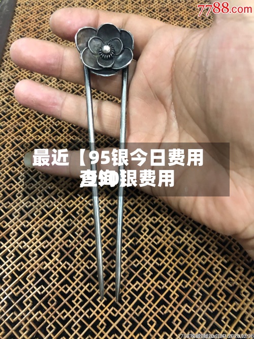 最近【95银今日费用,950银费用查询】-第2张图片