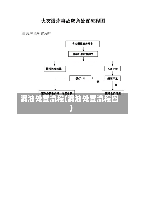 漏油处置流程(漏油处置流程图)-第3张图片