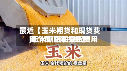最近【玉米期货和现货费用,玉米期货和现货费用哪个更值得投资】-第2张图片
