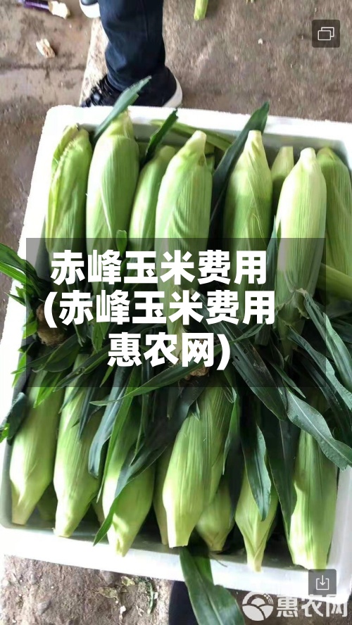 赤峰玉米费用
(赤峰玉米费用
惠农网)