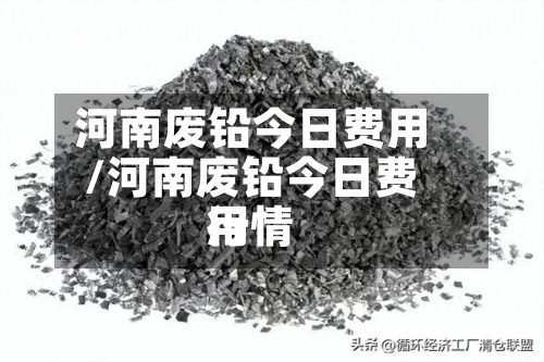 河南废铅今日费用
/河南废铅今日费用
行情