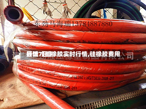 最近【硅橡胶实时行情,硅橡胶费用行情7日】