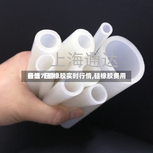 最近【硅橡胶实时行情,硅橡胶费用
行情7日】-第2张图片