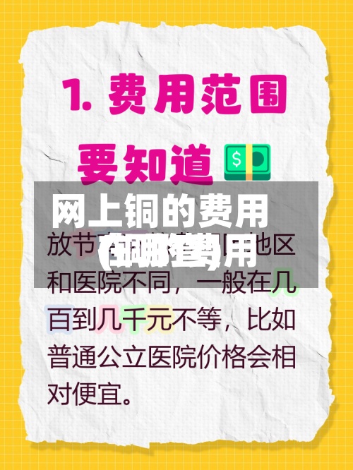 网上铜的费用(铜的费用在哪查)