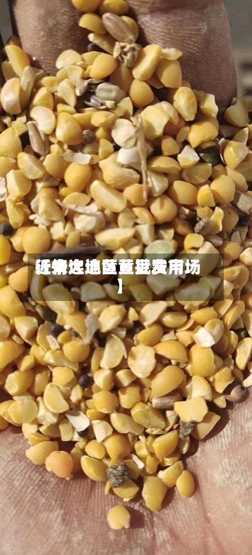 近来
【大连地区黄豆费用
行情大连黄豆批发市场】