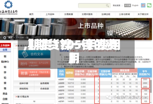 【期货镍一手费用
,期货1705镍的费用
】-第2张图片