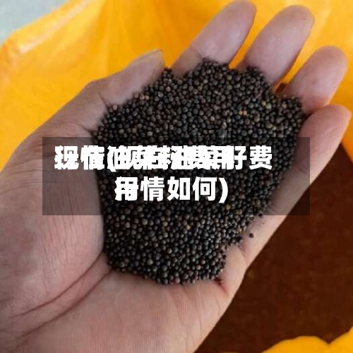 现在油菜籽费用行情(现在油菜籽费用行情如何)-第2张图片