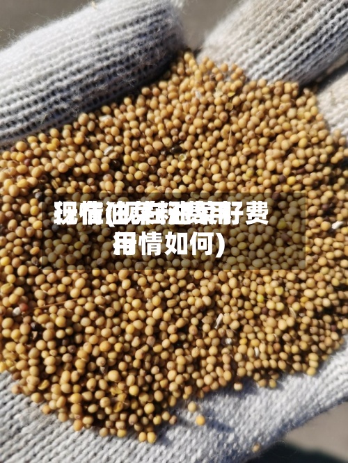 现在油菜籽费用
行情(现在油菜籽费用
行情如何)