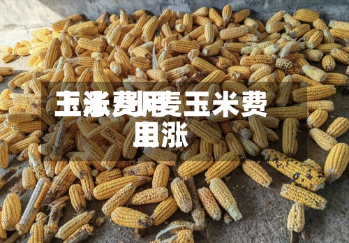 玉米费用
上涨/小麦玉米费用
上涨-第3张图片