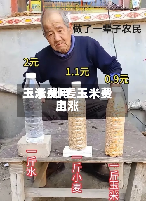 玉米费用
上涨/小麦玉米费用
上涨-第2张图片