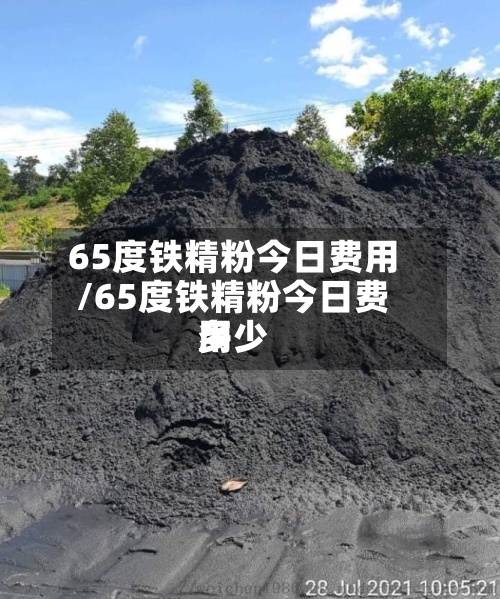 65度铁精粉今日费用/65度铁精粉今日费用多少