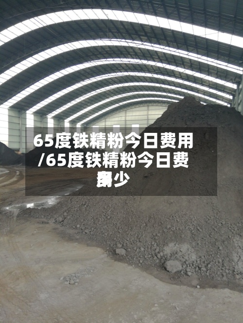 65度铁精粉今日费用
/65度铁精粉今日费用
多少-第3张图片
