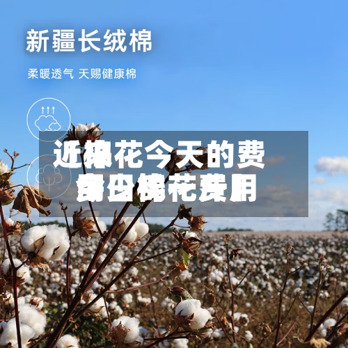 近来【棉花今天的费用今日棉花费用多少钱一斤】-第3张图片