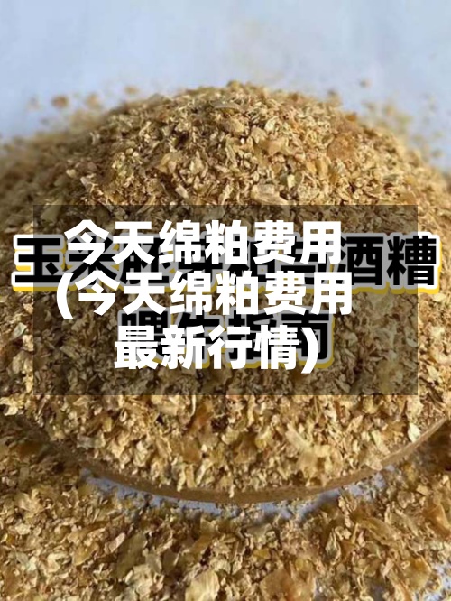 今天绵粕费用(今天绵粕费用最新行情)-第3张图片