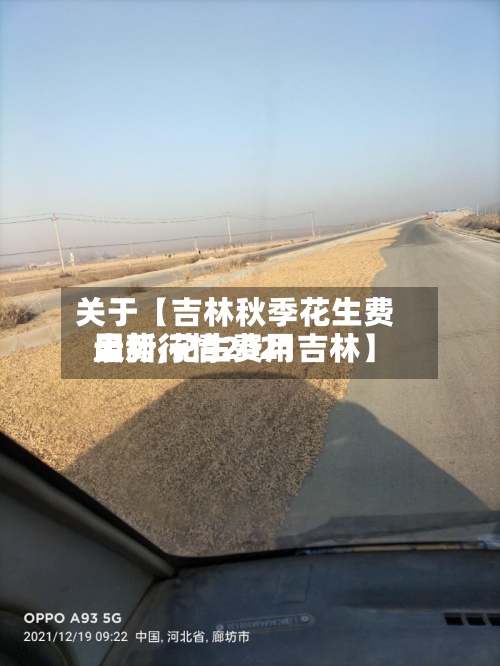 关于【吉林秋季花生费用走势,花生费用最新行情2021吉林】-第2张图片