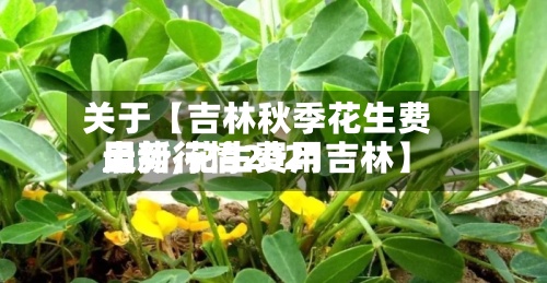 关于【吉林秋季花生费用走势,花生费用最新行情2021吉林】-第3张图片