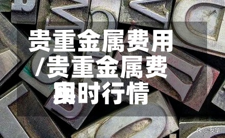 贵重金属费用
/贵重金属费用
实时行情-第2张图片