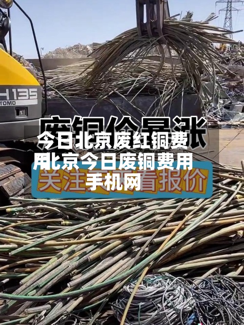 今日北京废红铜费用/北京今日废铜费用手机网-第2张图片