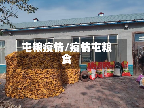 屯粮疫情/疫情屯粮食