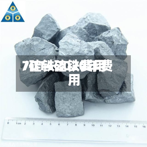 7014硅铁费用/硅铁2020年费用-第2张图片