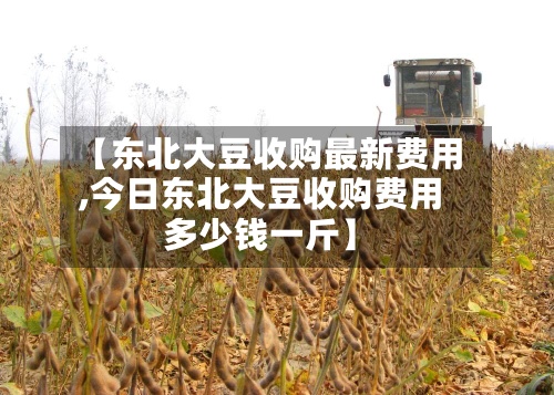 【东北大豆收购最新费用,今日东北大豆收购费用多少钱一斤】-第2张图片