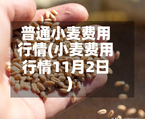 普通小麦费用行情(小麦费用行情11月2日)-第2张图片