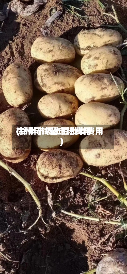 徐州马铃薯市场费用(徐州市场土豆批发费用)