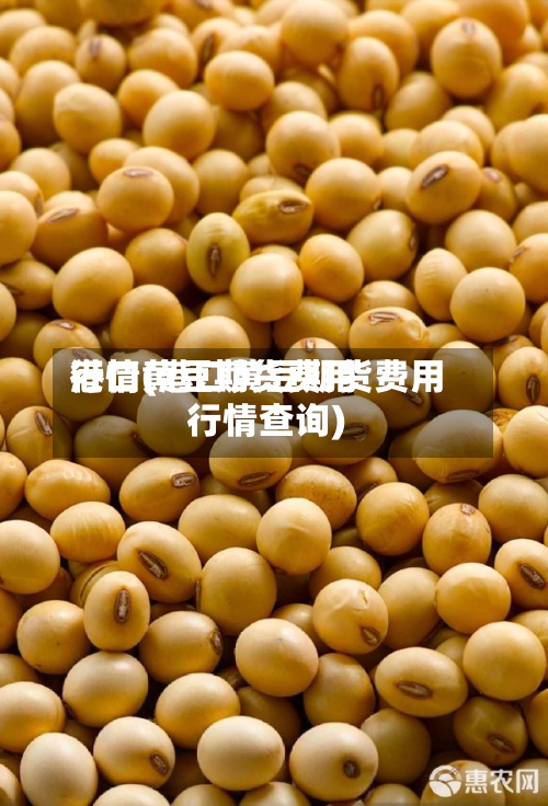 港口黄豆期货费用
行情(港口黄豆期货费用
行情查询)-第3张图片