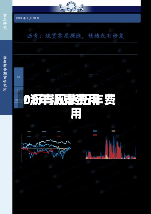 08年沥青费用/沥青现货历年费用-第3张图片