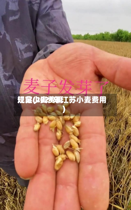 江苏小麦费用规定(2021年江苏小麦费用)-第3张图片