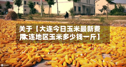 关于【大连今日玉米最新费用,大连地区玉米多少钱一斤】