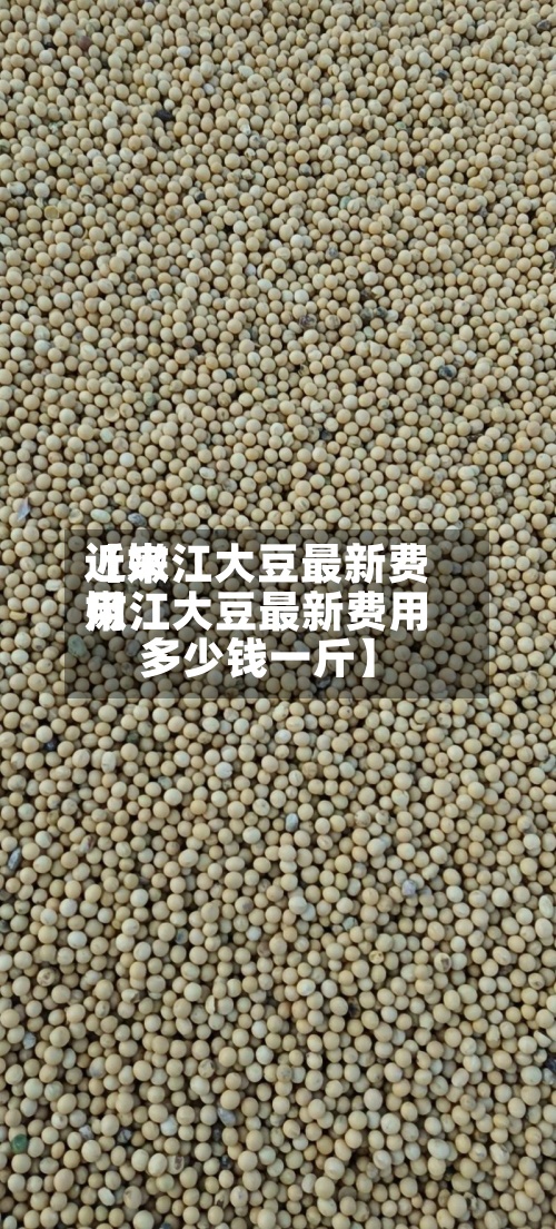 近来【嫩江大豆最新费用嫩江大豆最新费用多少钱一斤】