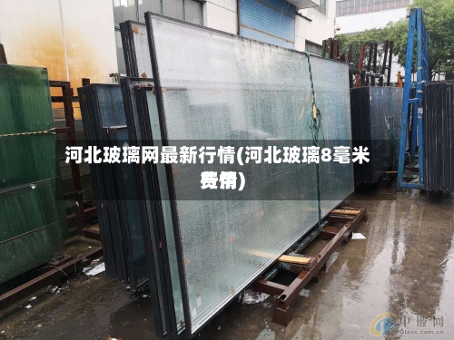 河北玻璃网最新行情(河北玻璃8毫米费用行情)