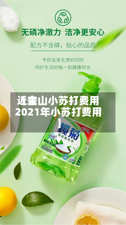 近来
【金山小苏打费用
2021年小苏打费用
】-第2张图片
