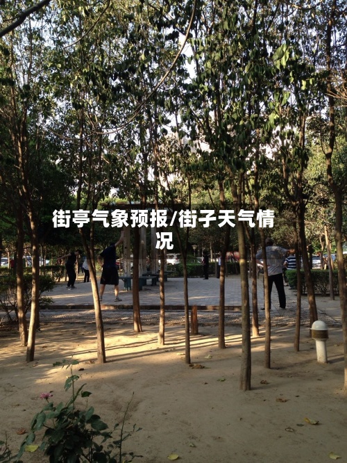 街亭气象预报/街孑天气情况-第2张图片