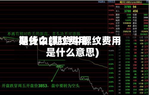 期货中螺纹费用
是什么(期货中螺纹费用
是什么意思)-第2张图片