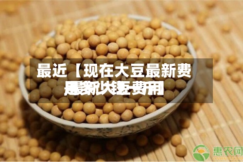 最近【现在大豆最新费用,最新大豆费用是多少钱一斤】