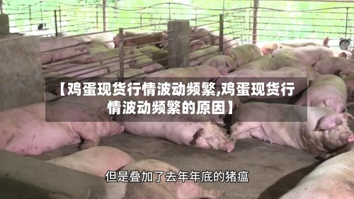 【鸡蛋现货行情波动频繁,鸡蛋现货行情波动频繁的原因】-第2张图片